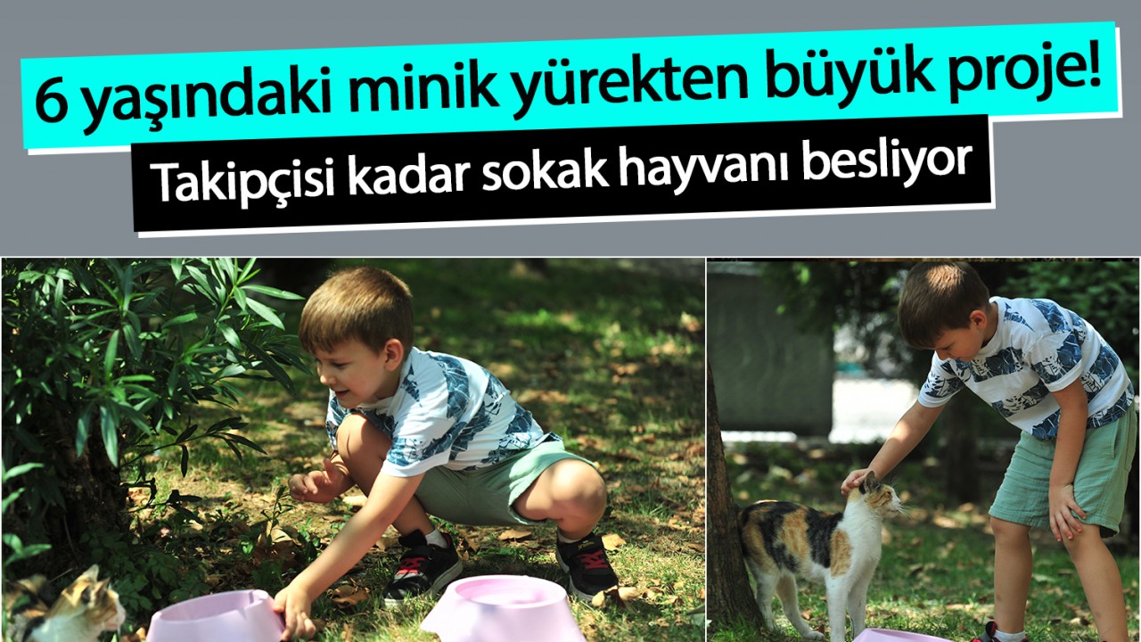 6 yaşındaki minik yürekten büyük proje! Takipçisi kadar sokak hayvanı besliyor