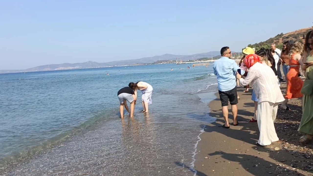 Kına geleneği için davul ve zurna eşliğinde plaja geldiler; damat denize atıldı