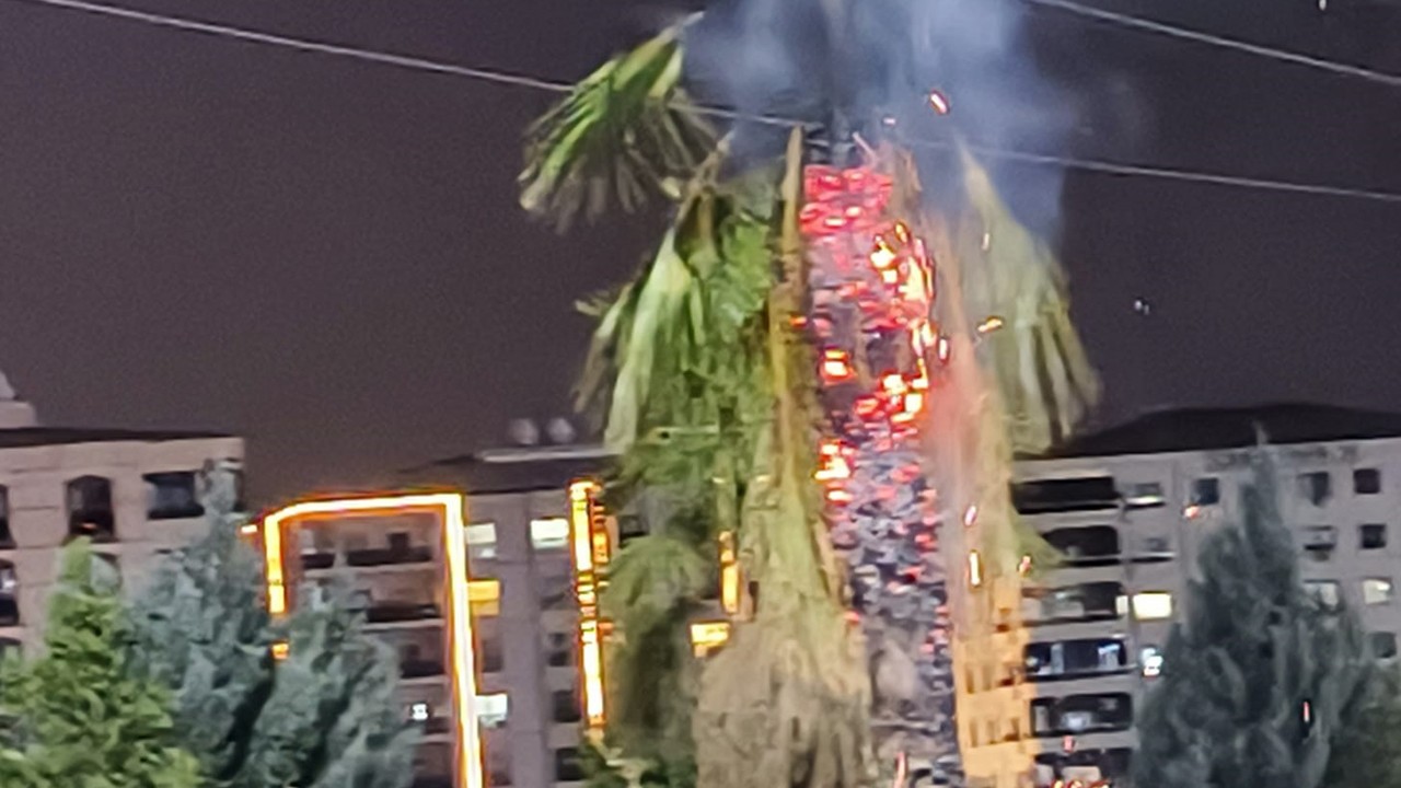 Parktaki palmiye ağacı ateşe verildi
