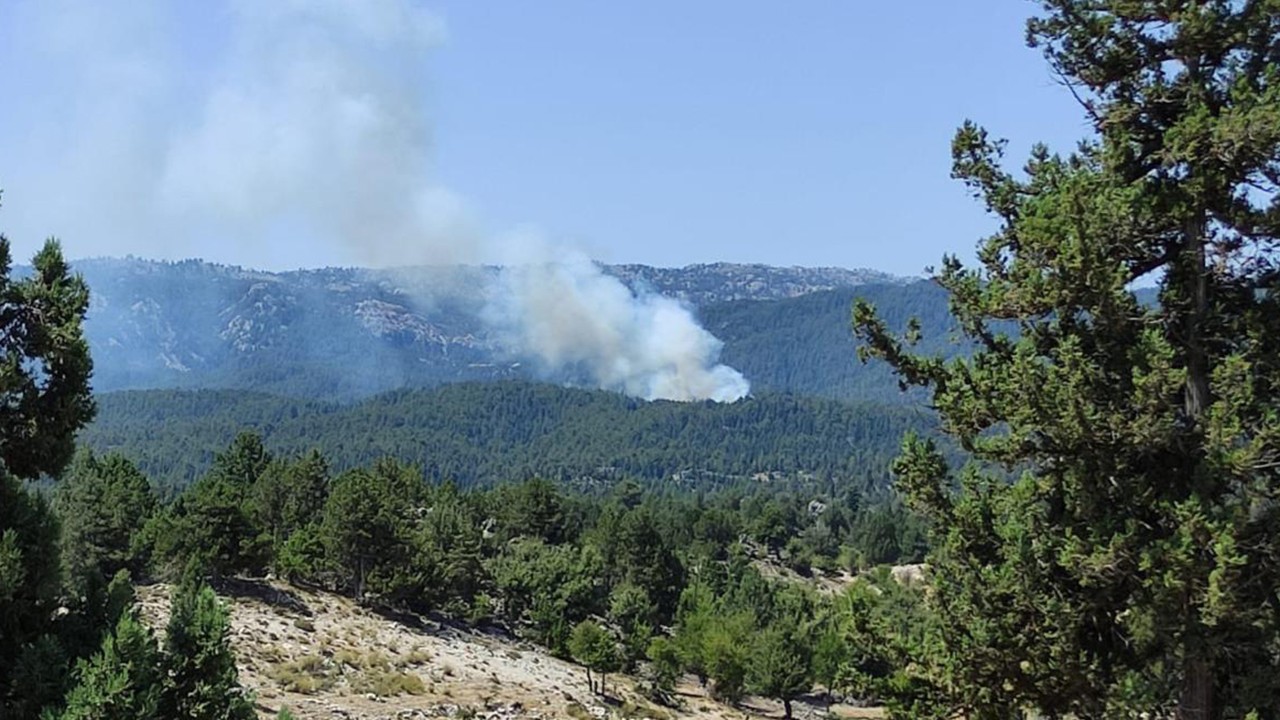 Mersin’de orman yangını
