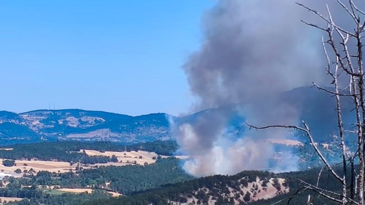 Bolu'da orman yangını
