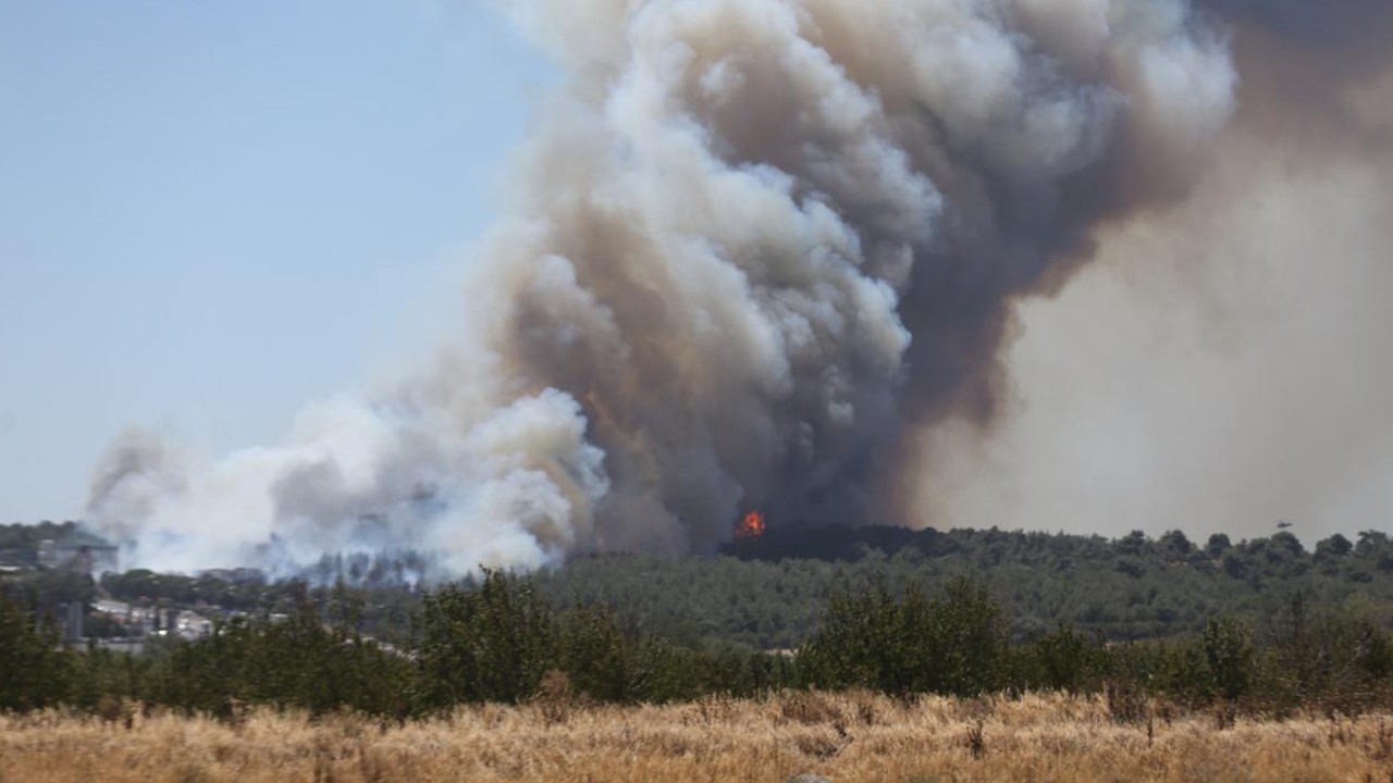 Çanakkale’de orman yangını