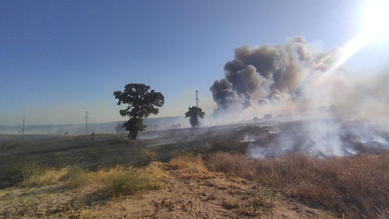 Edirne’de orman yangını
