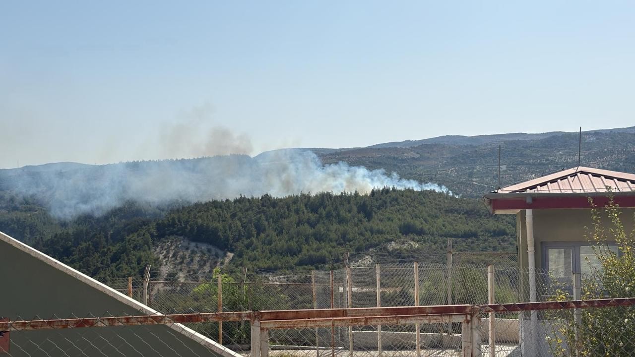 Hatay’da çıkan orman yangını kontrol altına alındı