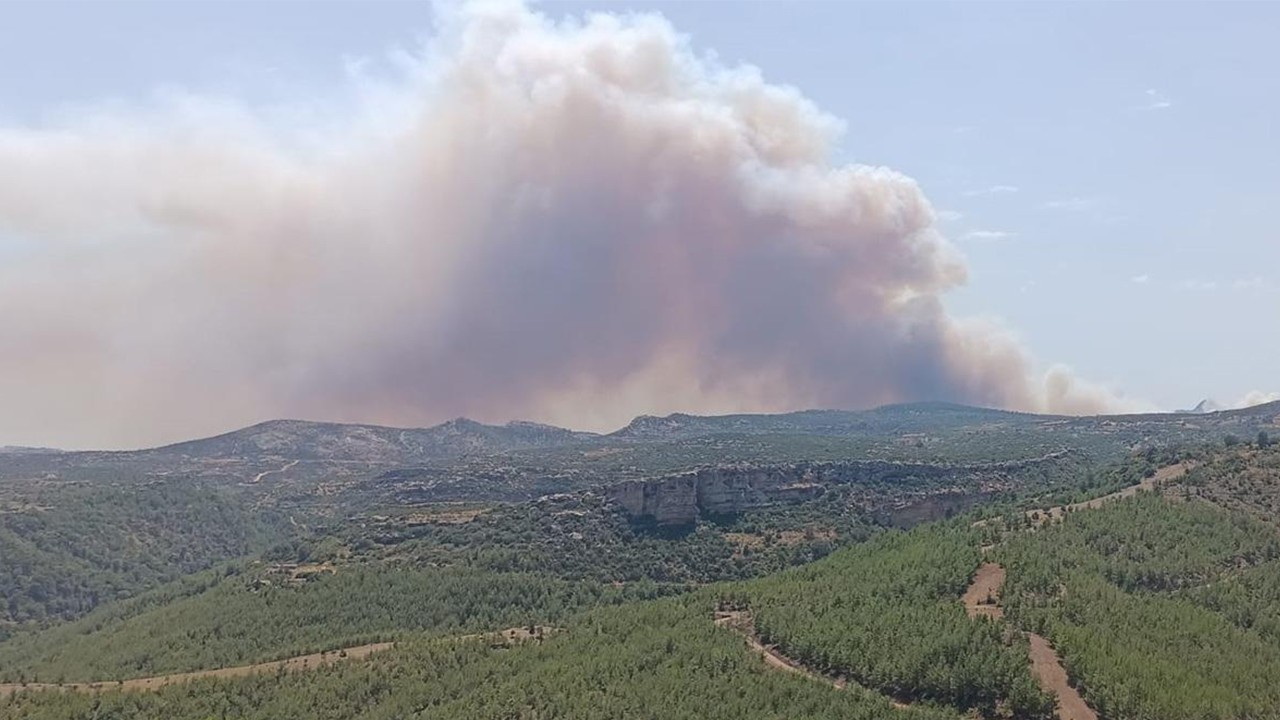 Mersin’de orman yangını: Havadan ve karadan müdahale ediliyor
