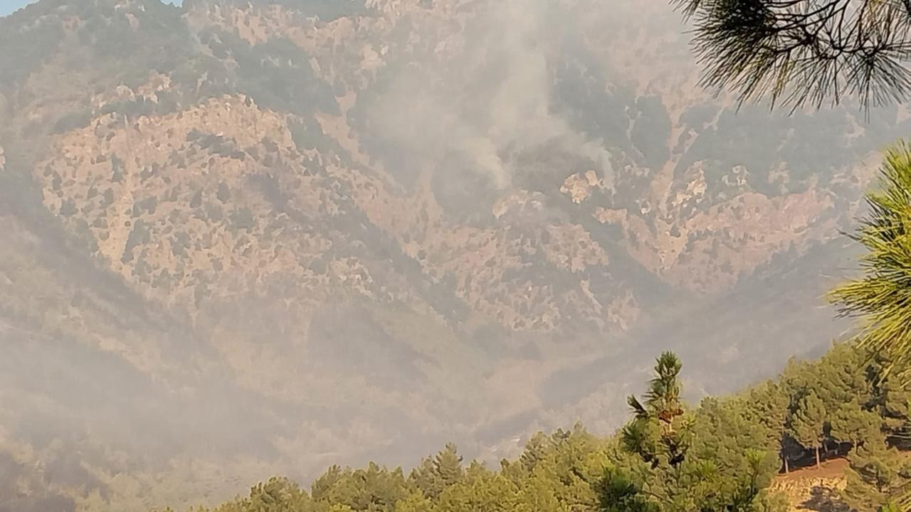 Hatay ve Mersin'de orman yangınları sürüyor