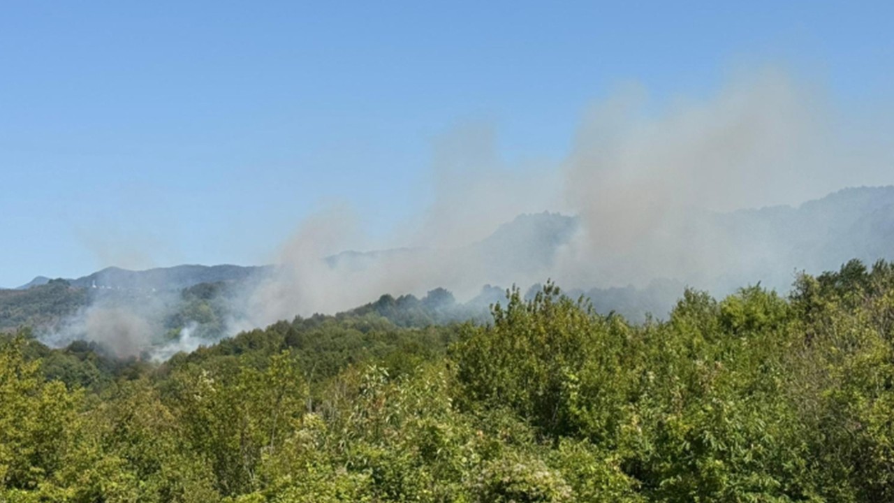 Orman yangınlarıyla mücadele sürüyor