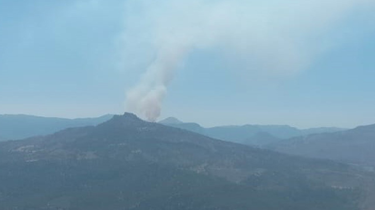 Karaman’da orman yangını