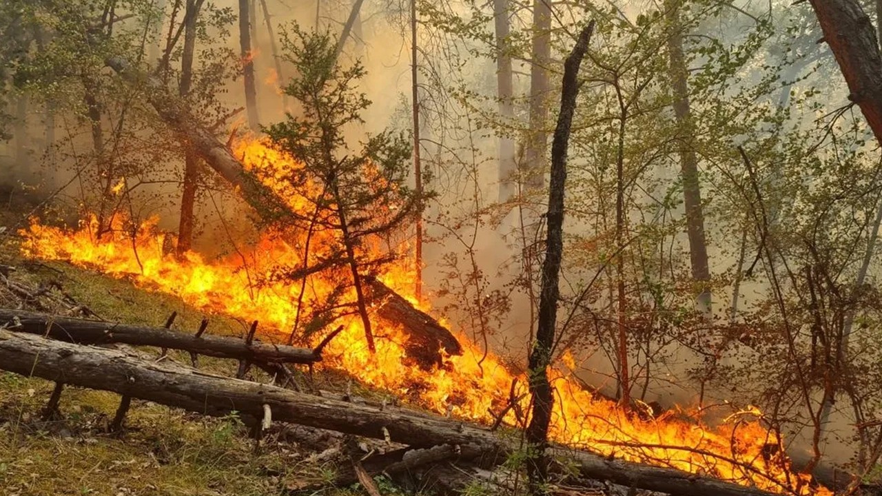 8 ildeki yangınlar kontrol altına alındı