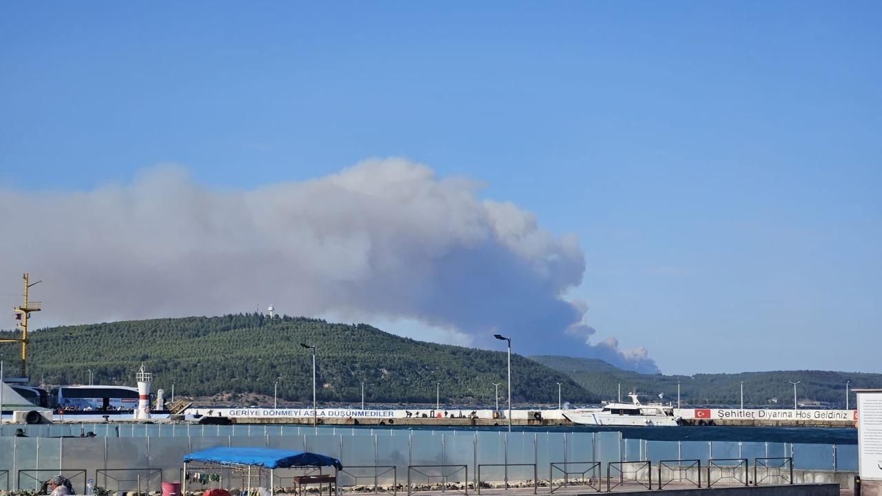 Çanakkale'de orman yangını
