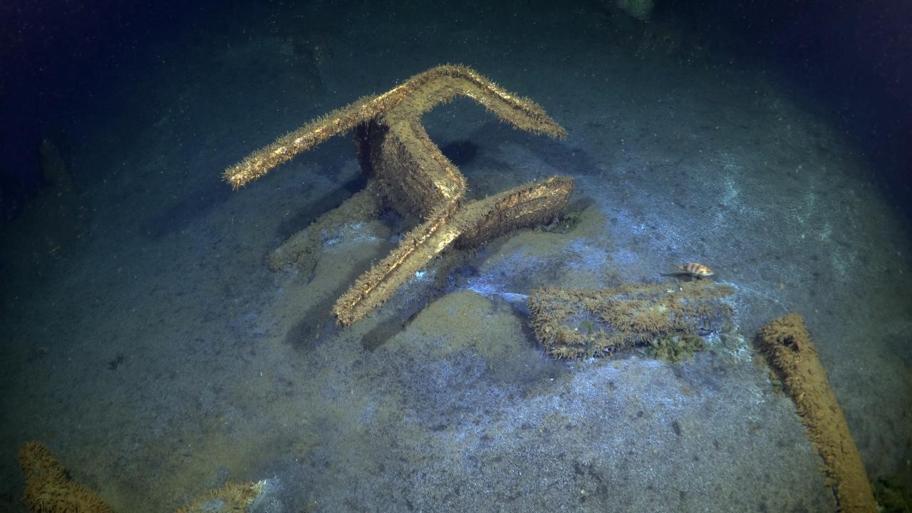 Marmara Depremi'nin deniz altındaki izleri görüntülendi