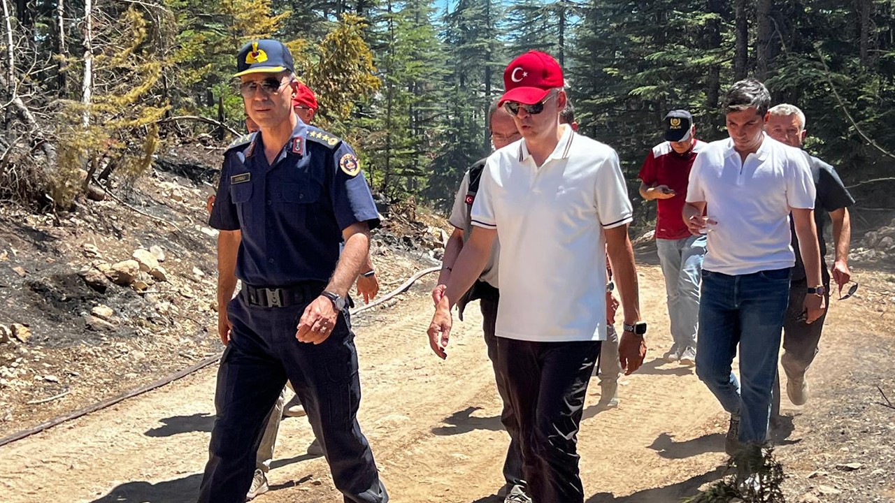 Karaman Valisi Çiçekli, iki ilçede söndürülen orman yangınlarının ardından incelemelerde bulundu