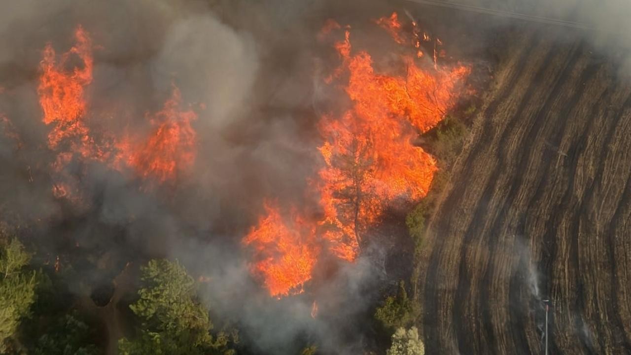 Adana'da orman yangını çıktı