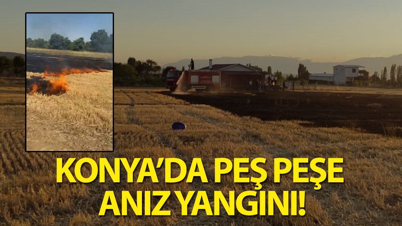 Konya'da peş peşe anız yangını!