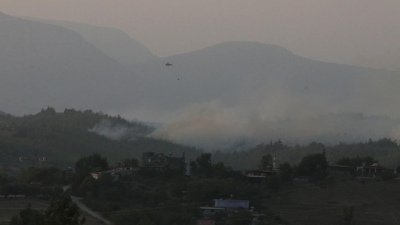 Adana'daki orman yangını kontrol altında