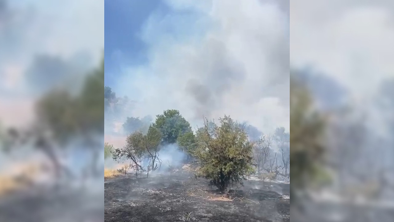 Malatya'da orman yangını