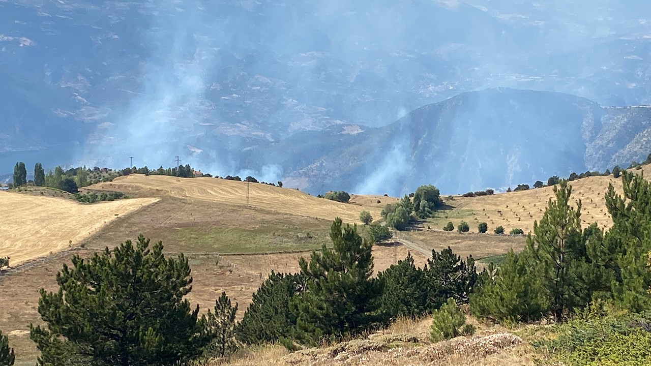 Çorum'da orman yangını