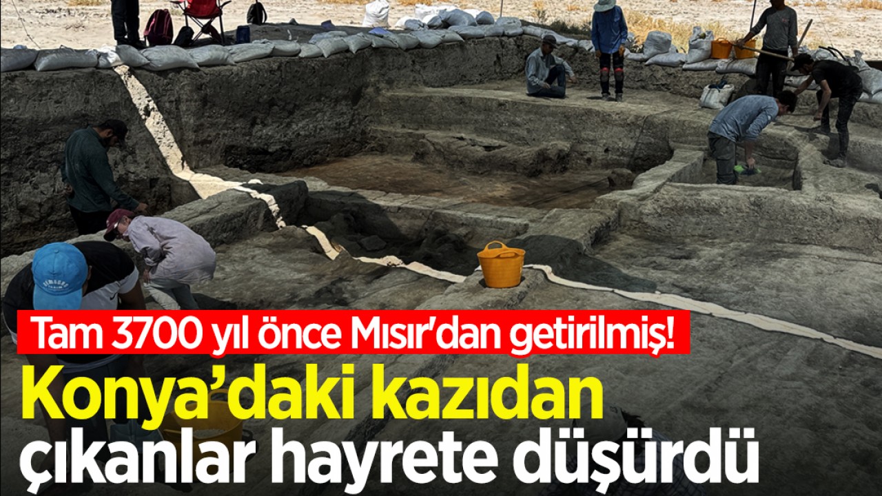 Tam 3700 yıl önce Mısır'dan getirilmiş! Konya’daki kazıdan çıkanlar hayrete düşürdü
