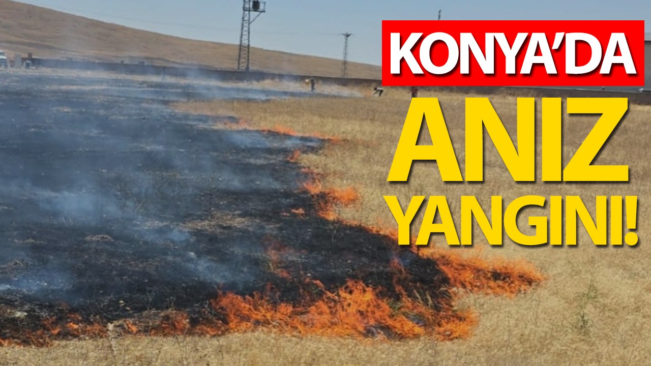 Konya'da anız yangını!