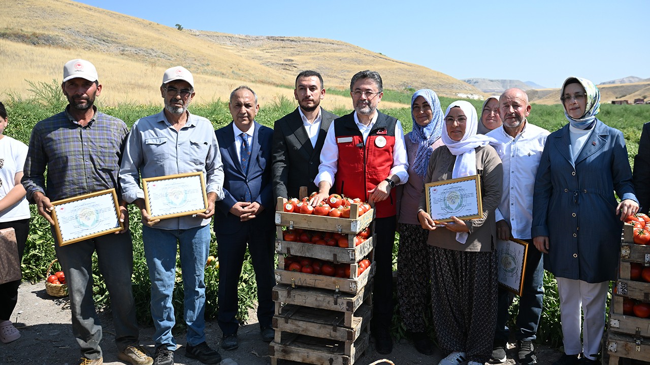 Tarım ve Orman Bakanı Yumaklı, domates hasadına katıldı