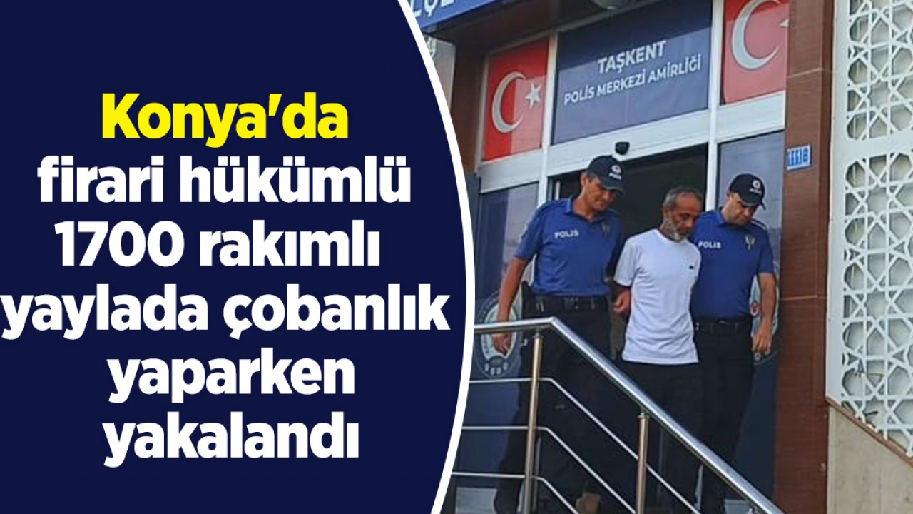 Konya'da firari hükümlü 1700 rakımlı yaylada çobanlık yaparken yakalandı