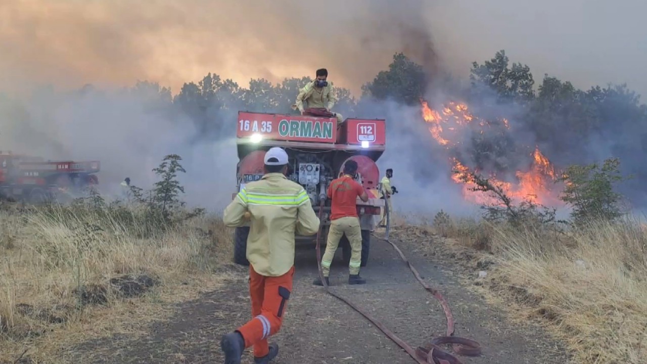 Bursa'da orman yangını