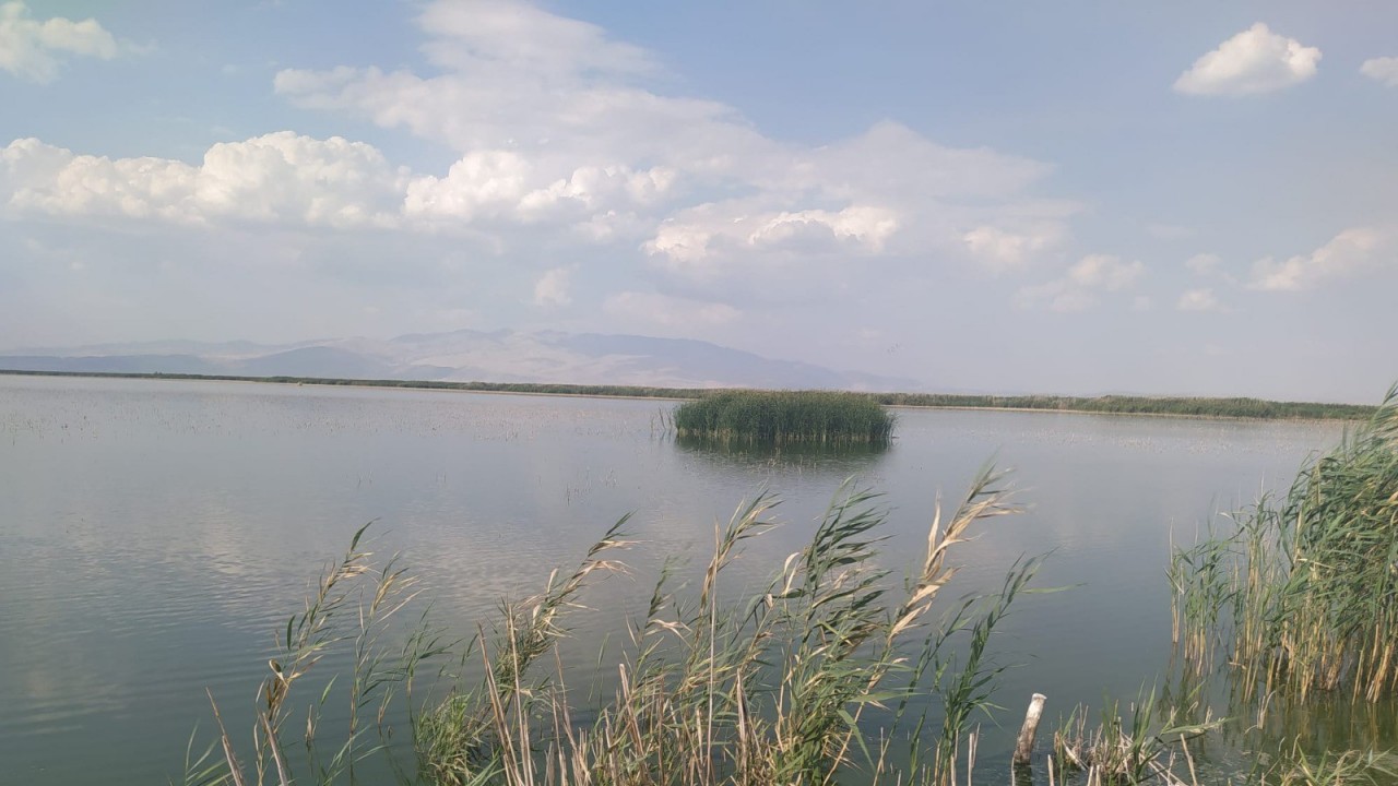 Eber ve Akşehir göllerine eylem planına yönelik çalışmalar sürüyor