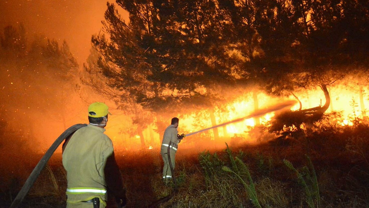 Çanakkale'deki 4 yangında 5 bin 236 hektar orman alanı zarar gördü
