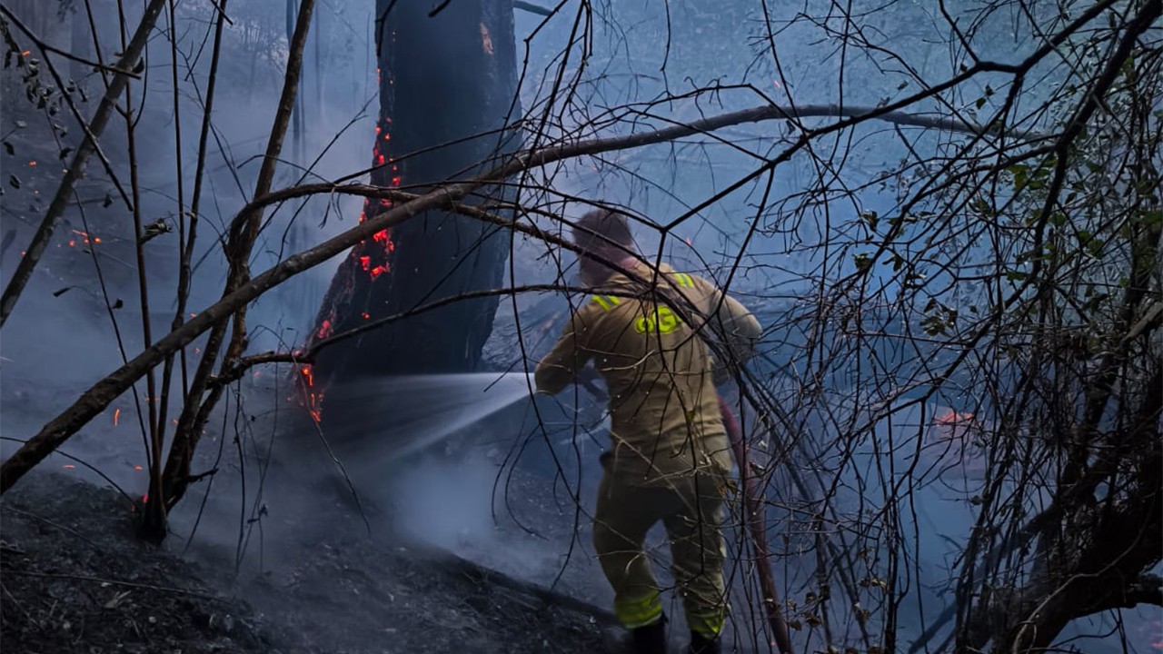 Bolu'da 8,5 saatte kontrol altına alınan orman yangınında soğutma çalışmaları sürüyor