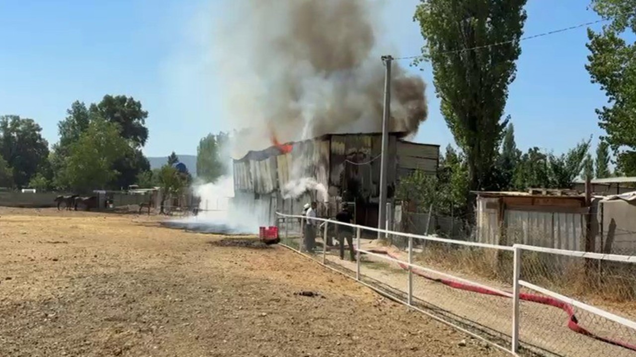 Hayvan damı yandı: 1 at, 2 keçi telef oldu