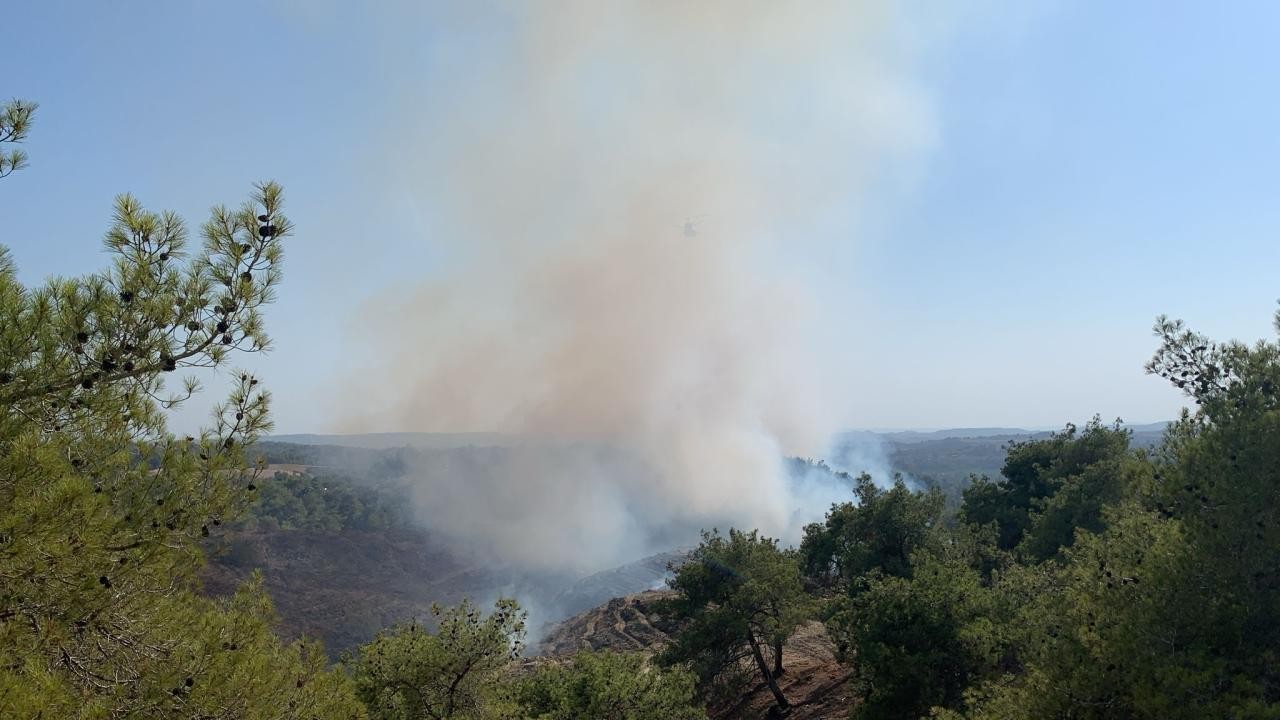 Adana'da orman yangını