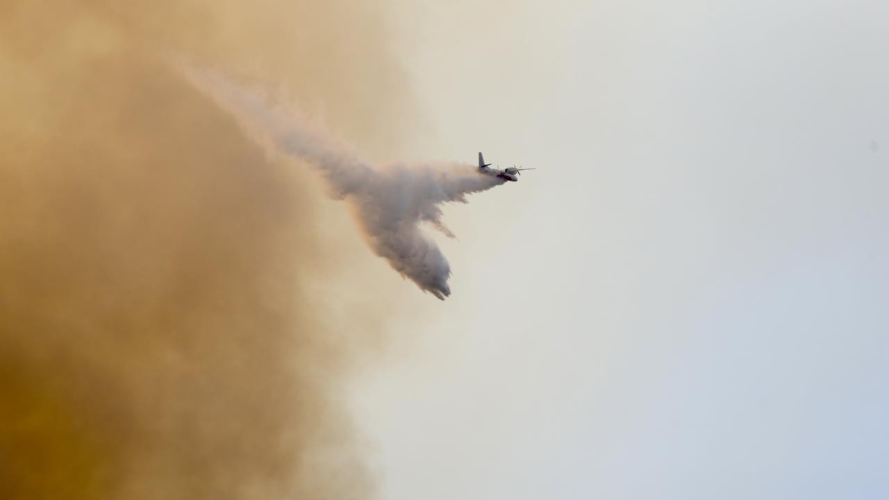 Muğla'da orman yangını