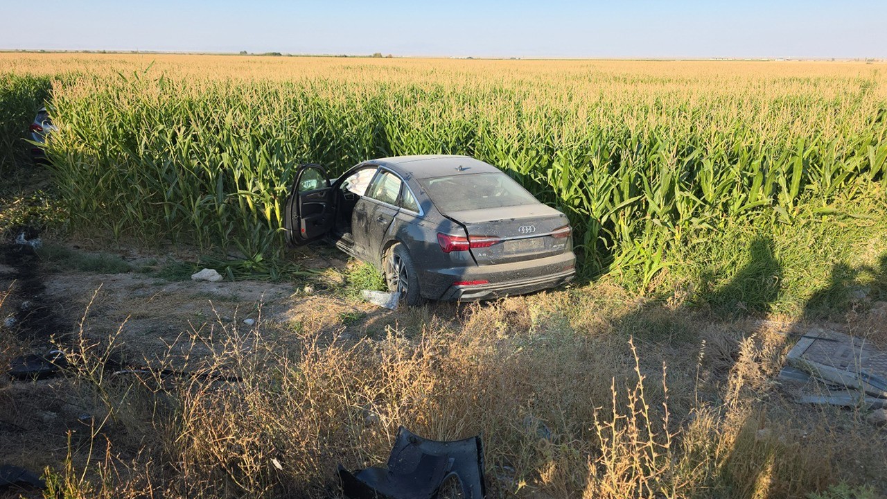 İki otomobil mısır tarlasına savruldu: 7 yaralı