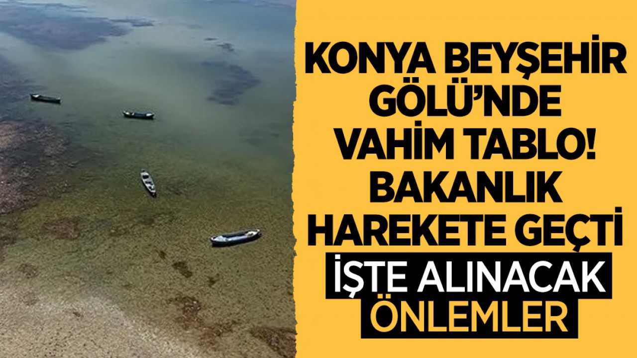Konya Beyşehir Gölü’nde vahim tablo: Bakanlık harekete geçti! İşte alınacak önlemler