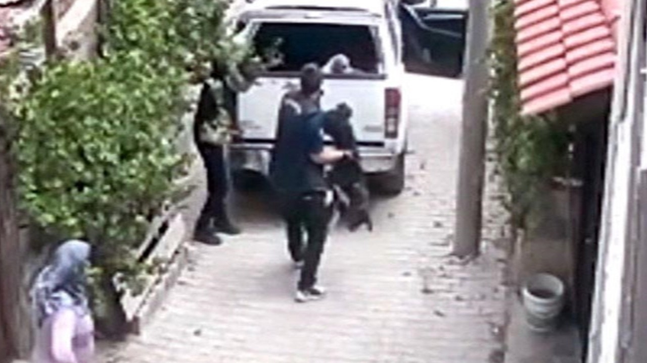 Bayılttıkları köpekleri aracın kasasına fırlattılar