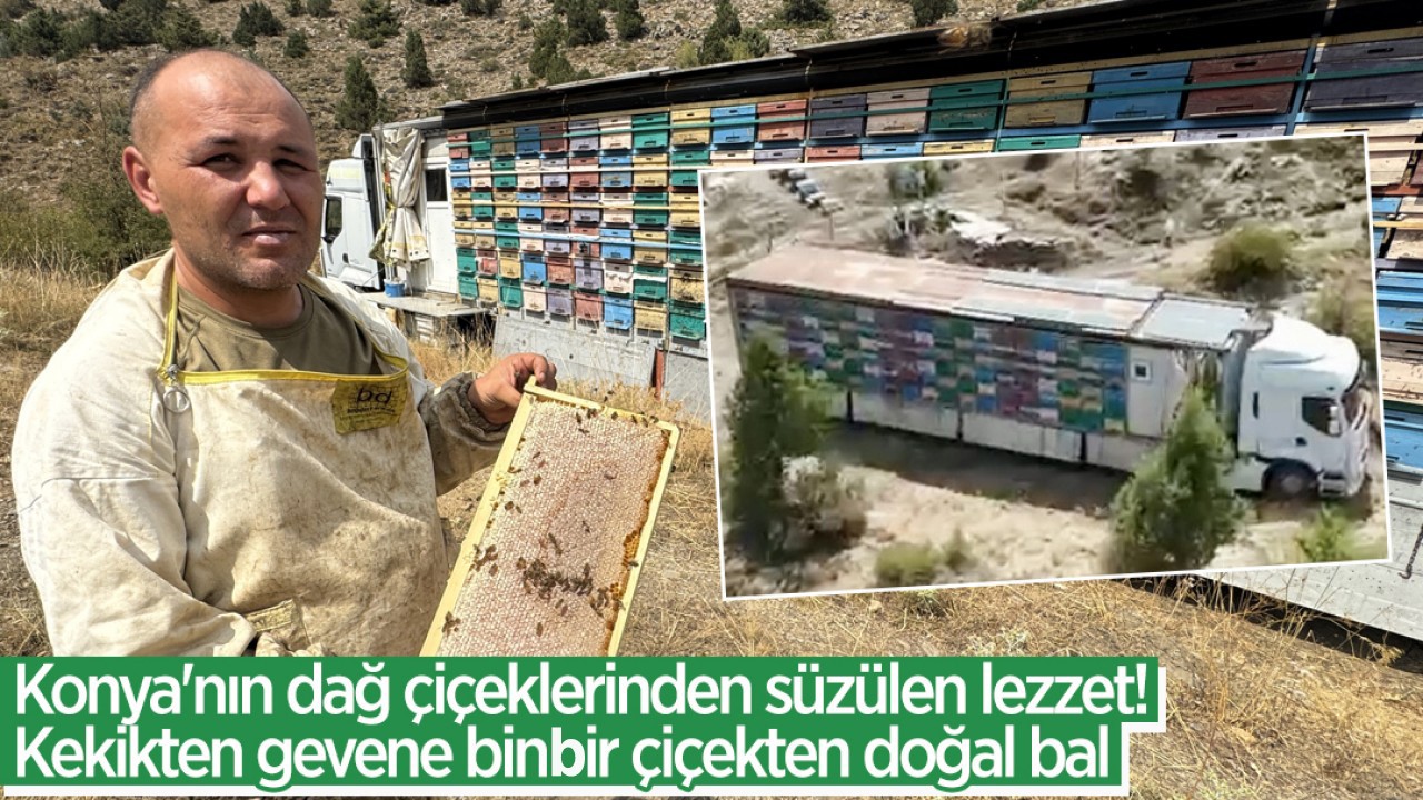 Konya'nın dağ çiçeklerinden süzülen lezzet! Kekikten gevene binbir çiçekten doğal bal