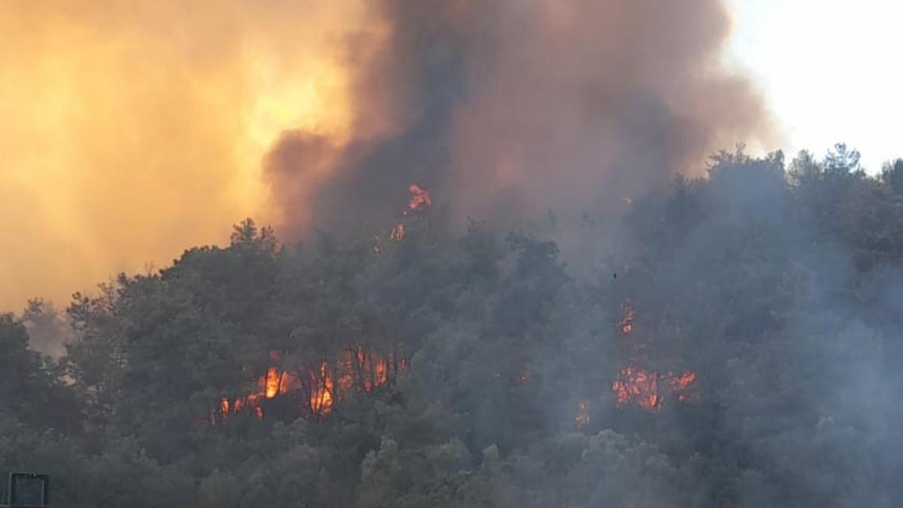İzmir'de orman yangını