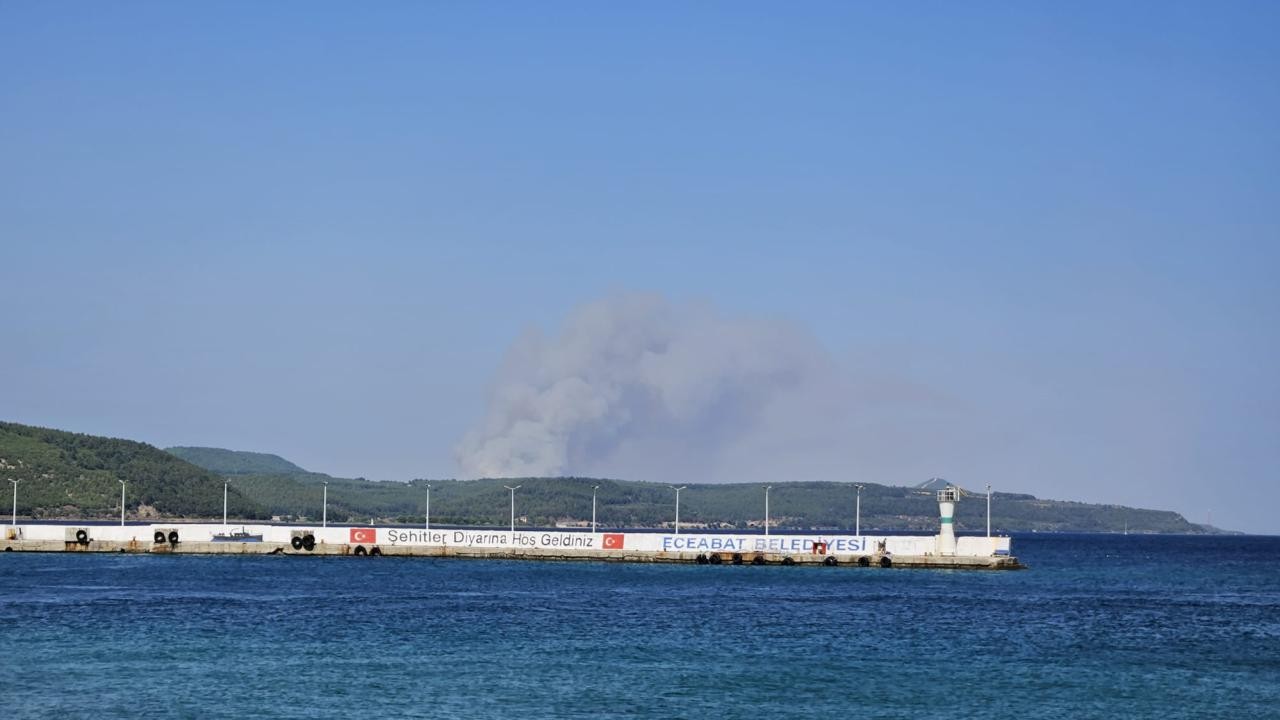 Çanakkale'de orman yangını