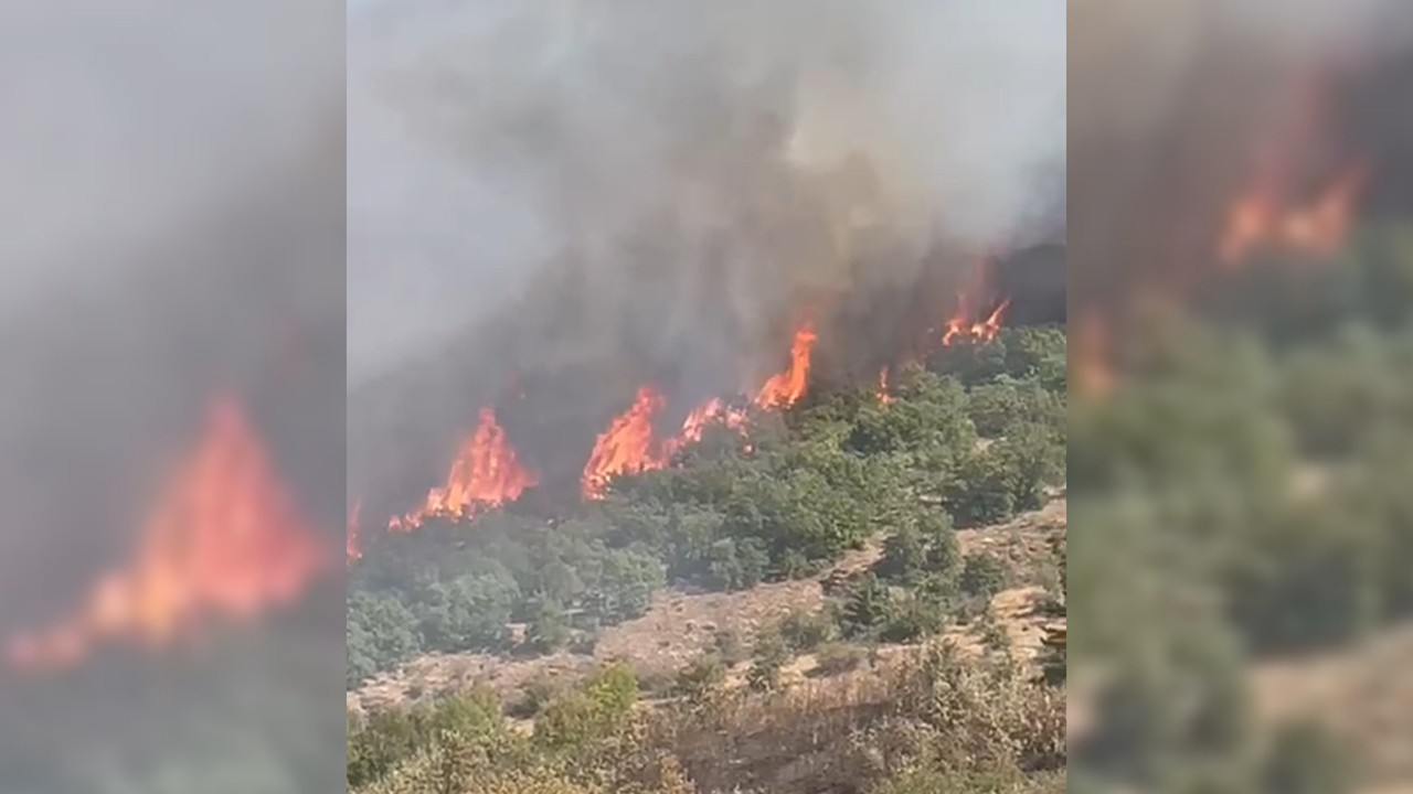 Malatya'da orman yangını
