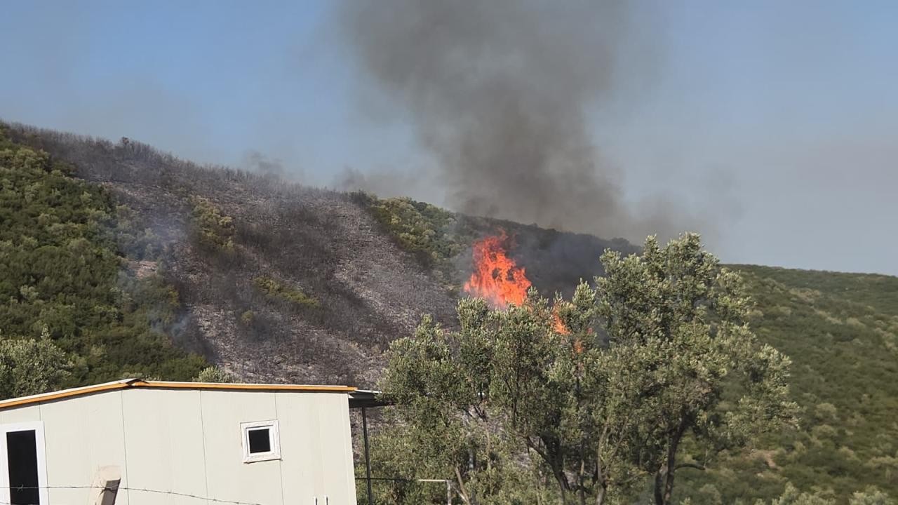 Bursa'da çıkan orman yangınına havadan ve karadan müdahale ediliyor