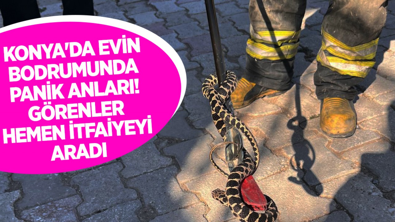 Konya'da evin bodrumunda panik anları: Görenler hemen itfaiyeyi aradı