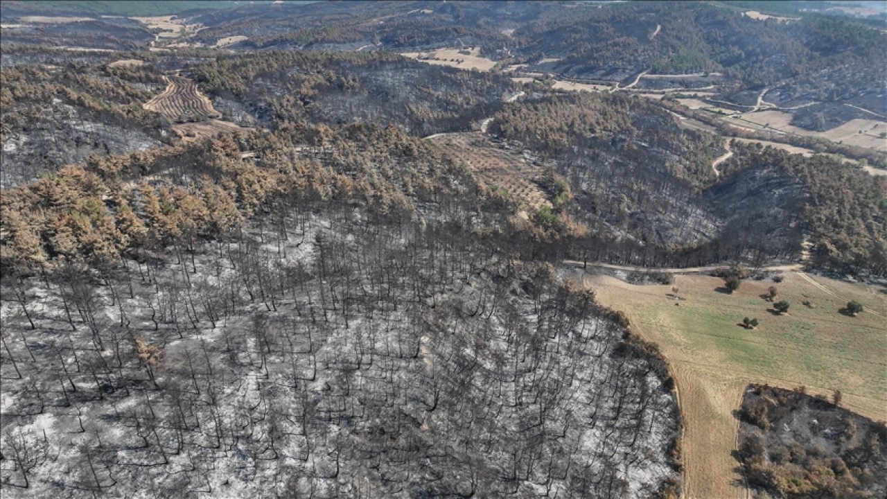 Çanakkale'de yangında zarar gören alanlar dronla görüntülendi