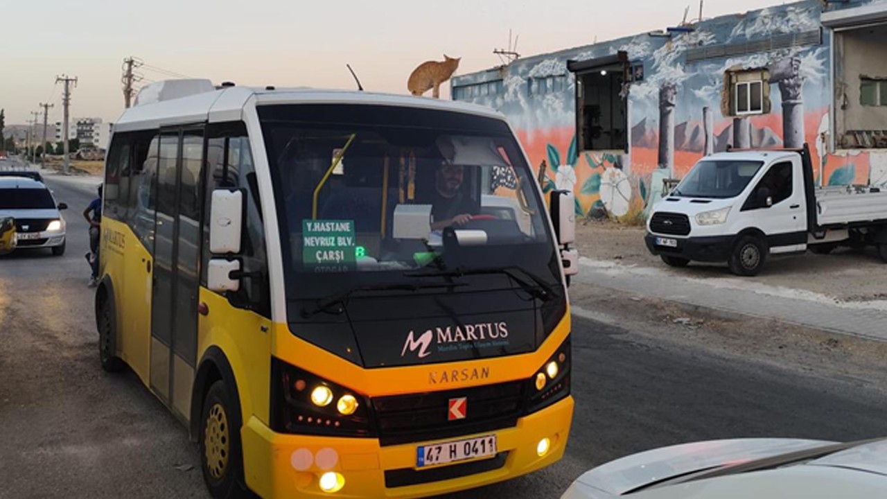 Dolmuşun üzerinde yolculuk yapan kedi kameraya yansıdı
