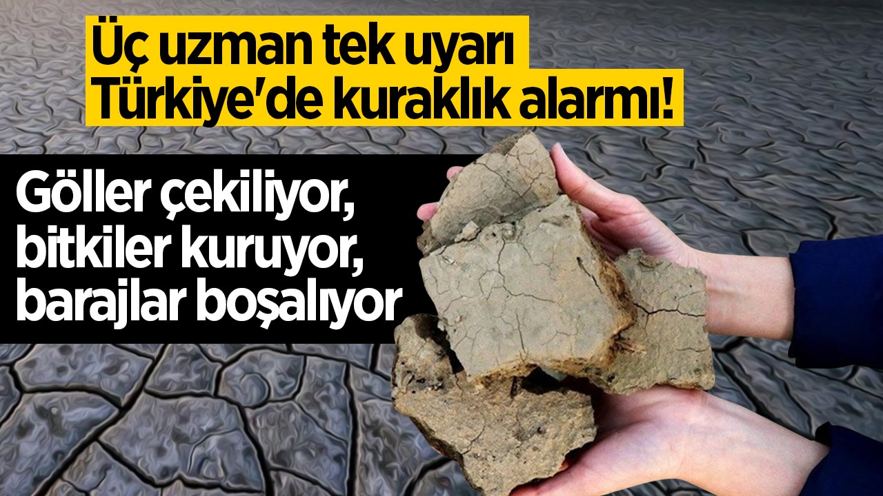 Üç uzman tek uyarı, Türkiye'de kuraklık alarmı! Göller çekiliyor, bitkiler kuruyor, barajlar boşalıyor
