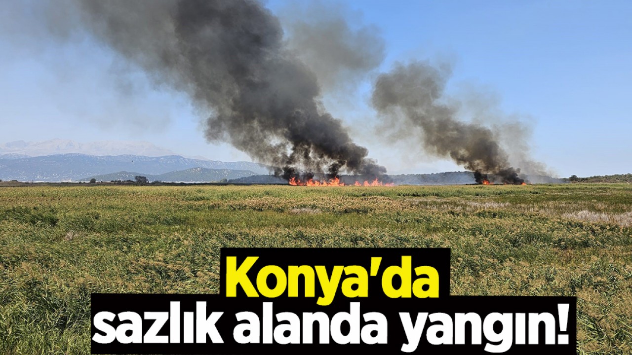Konya'da sazlık alanda yangın!