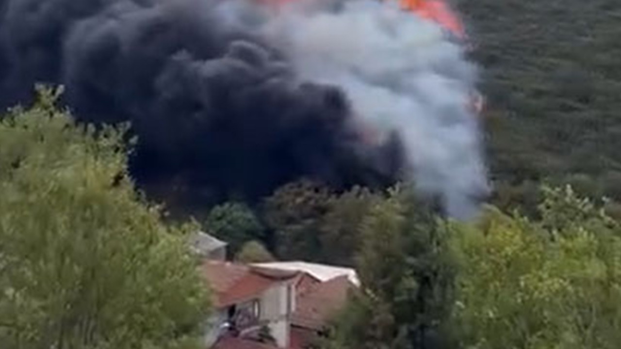 Kocaeli’de orman yangını