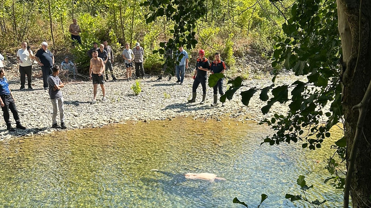 Kayıp Alzheimer hastası, dere kenarında ölü bulundu