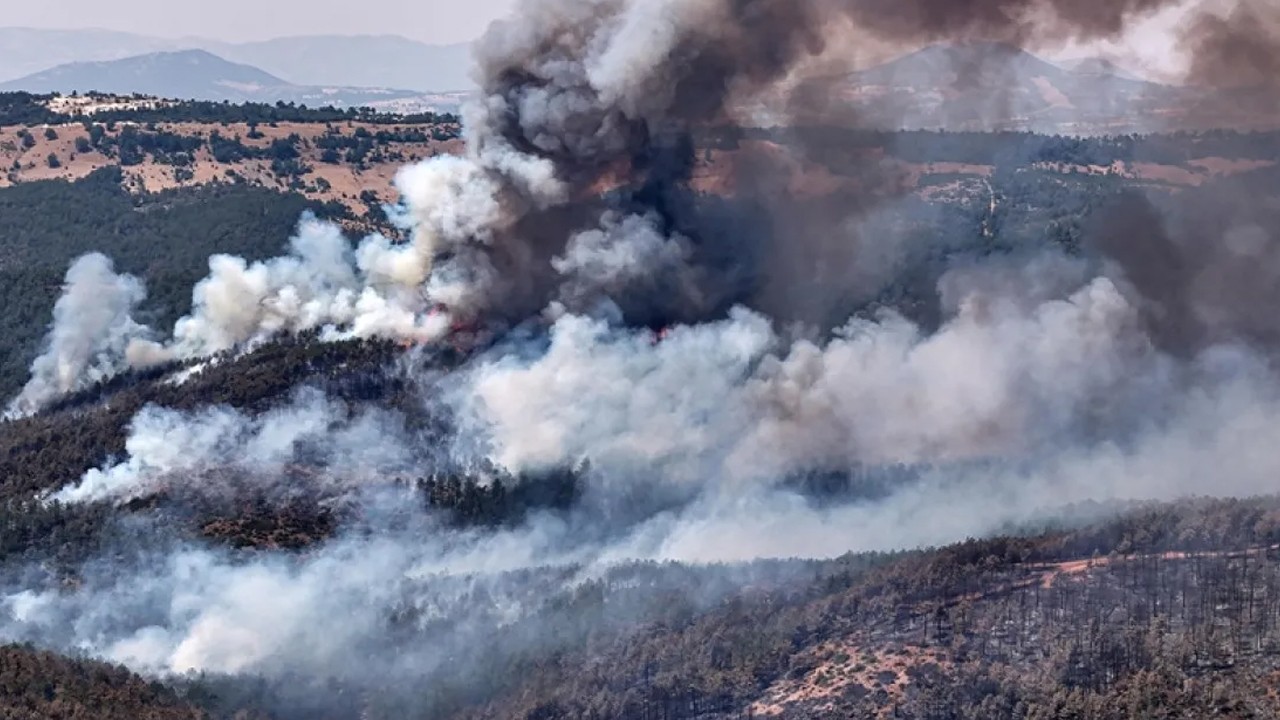 Türkiye'de yangınlar ile mücadele: Hafta sonu 85 yangın çıktı