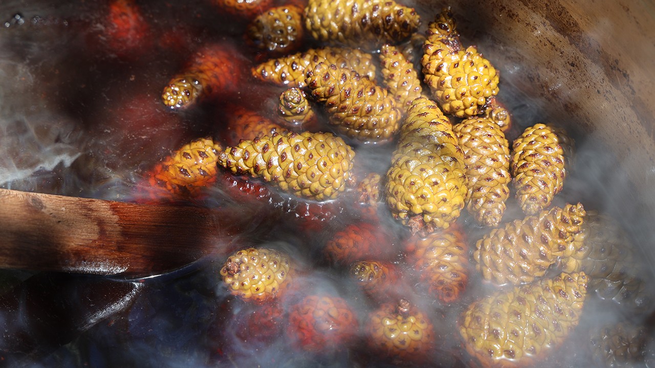 Sigara içenlere doğal çözüm: 7 saat kazanda pişirilen kozalak şurubu