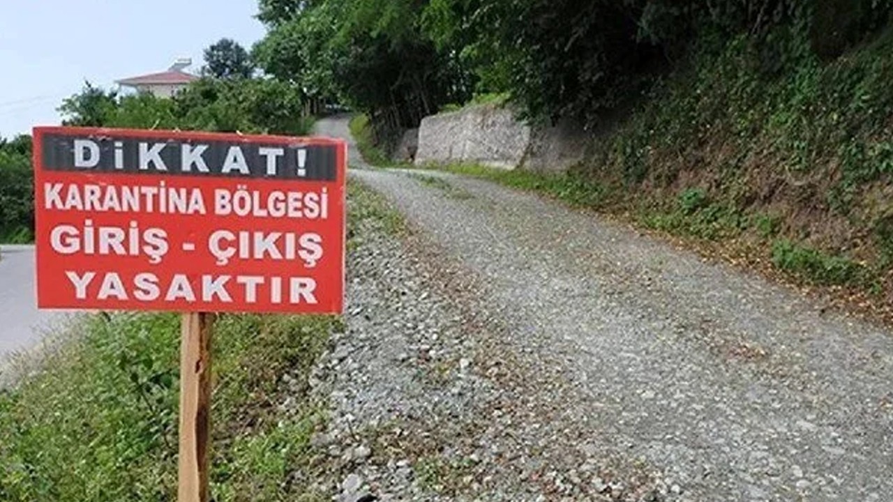 Kapatılan hayvan pazarları yeniden açıldı